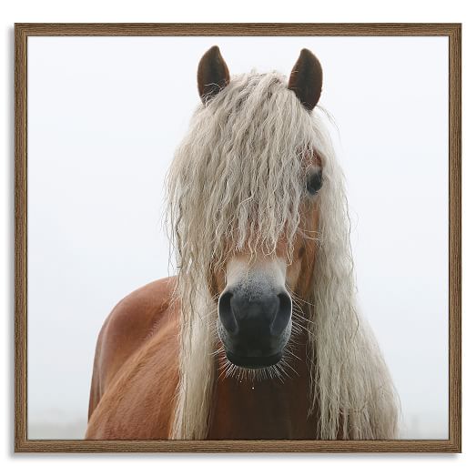 Framed Prints Horses west elm