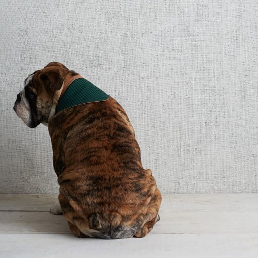 Billy Wolf Bandana, Navy and Green Gingham, Extra Small